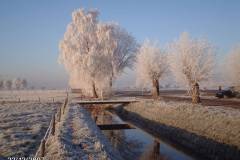 Berijpte omgeving op heldere winterse dag