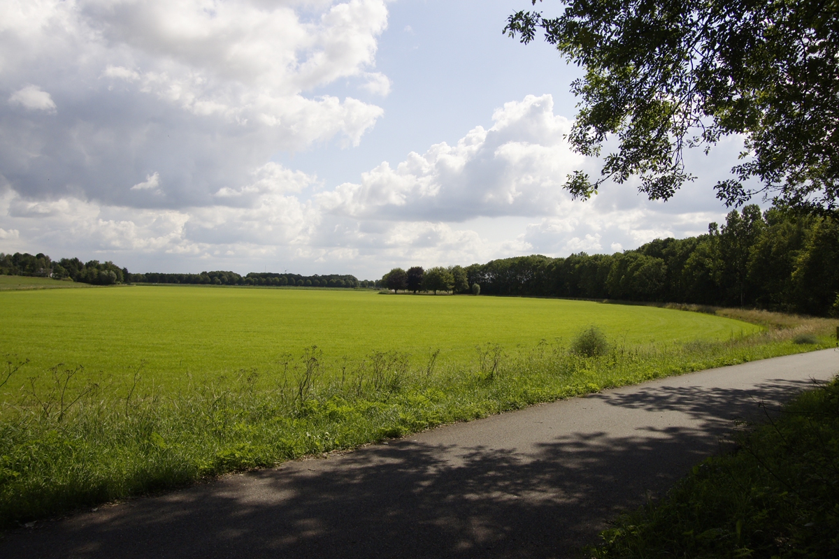Landschap rond visvijver