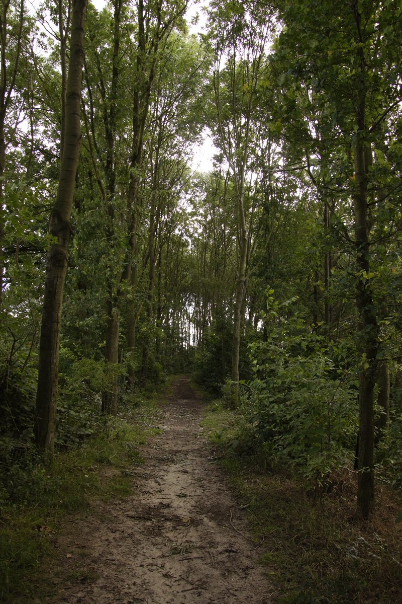 Wandelpad