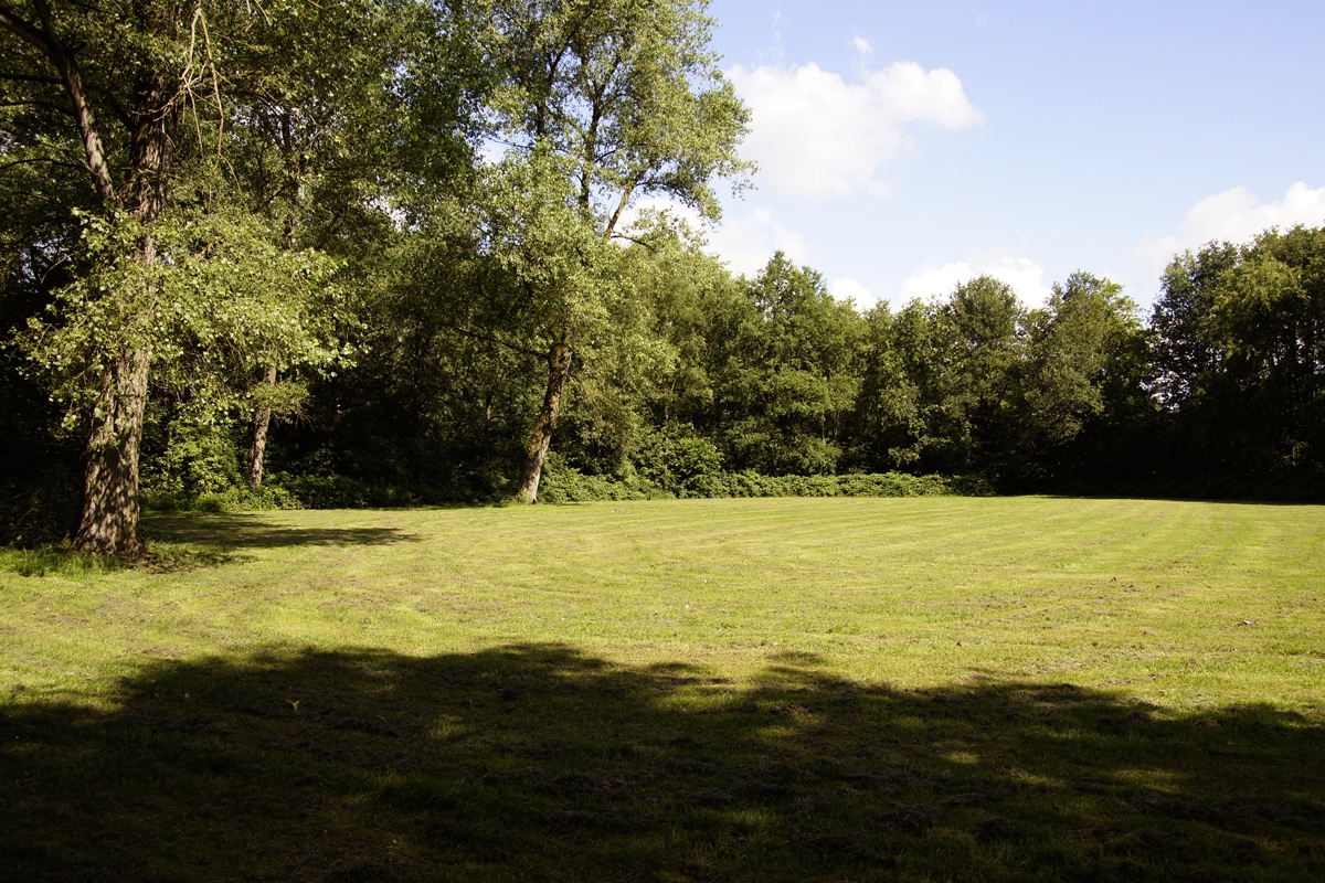 Speelweide