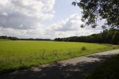 Landschap rond visvijver Landschap rond visvijver