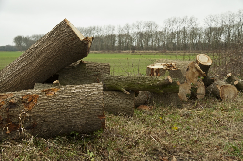 Groot onderhoud!