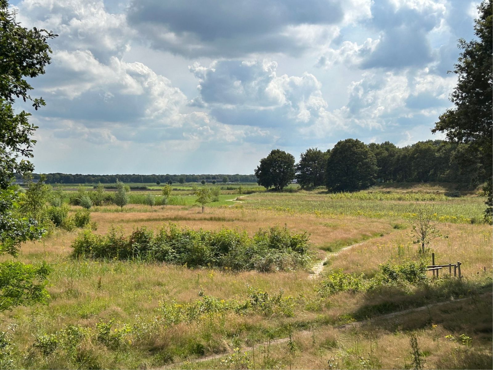 Driewiel vanaf de Heidijk