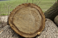 Meer licht en lucht voor de Heidijk Meer licht en lucht voor de Heidijk