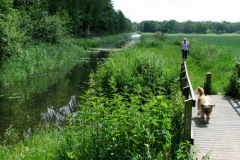 Sloot onder langs Heidijk