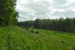 Landschap langs Heidijk