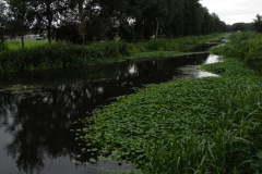 Sloot tussen Heidijk en Hoge Schijf