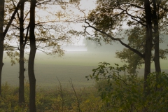 Zicht Baardwijkse Overlaat