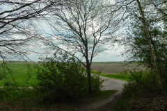 De Zeeg vanaf de Heidijk