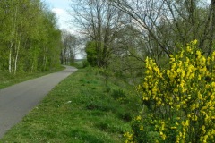 Dijk bij kerkhof Drunen