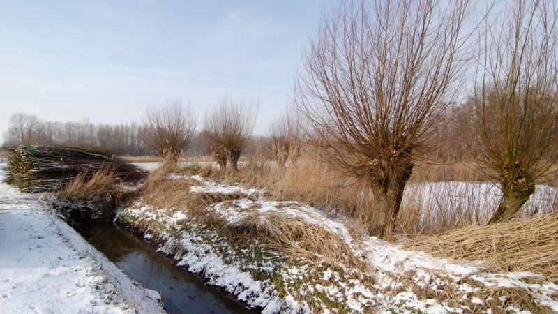 Hooibroekse steeg