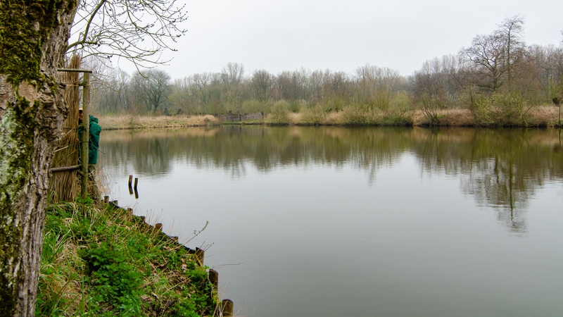 Kooivijver