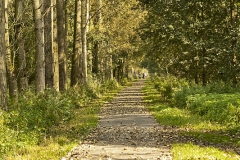 Fietspad Hooibroeken