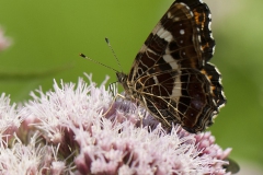 Landkaartje Landkaartje