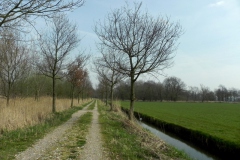 Wandelpad Eendenkooi Pax