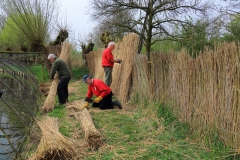 Onderhoud rietschermen