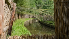 Vangpijp Eendenkooi Ter Kwak