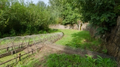 Vangpijp Eendenkooi Ter Kwak