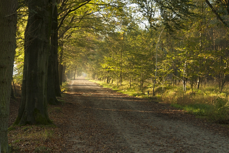 Herfst bij de Pessert