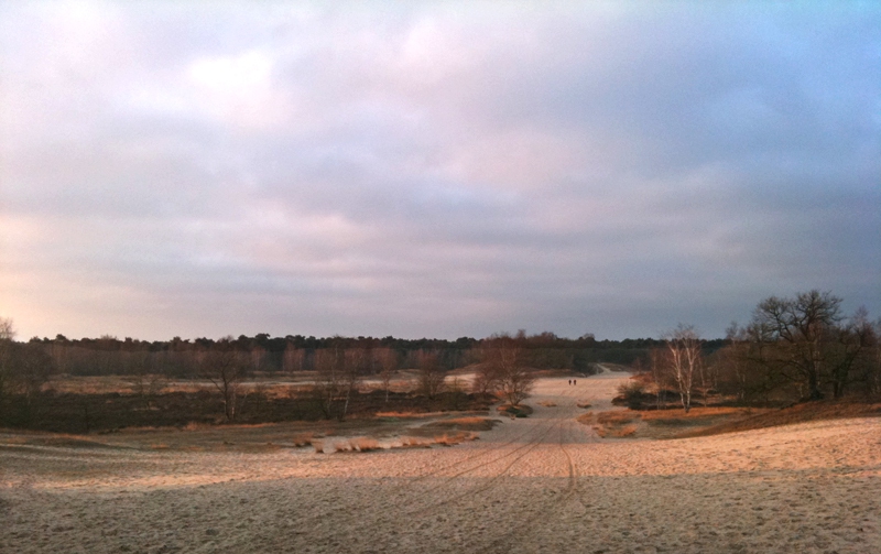 Ochtend in de Duinen