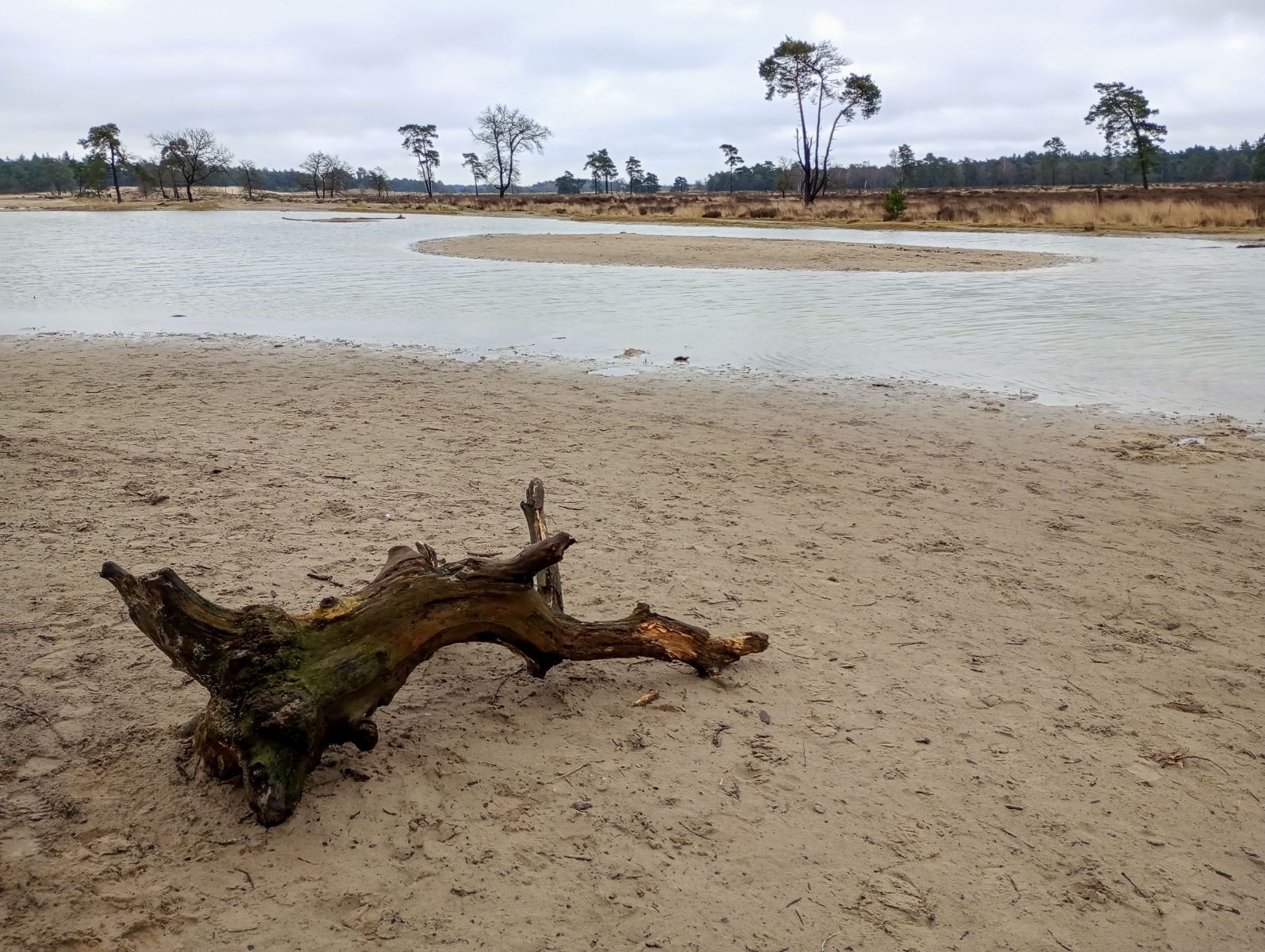 Water in de duinen