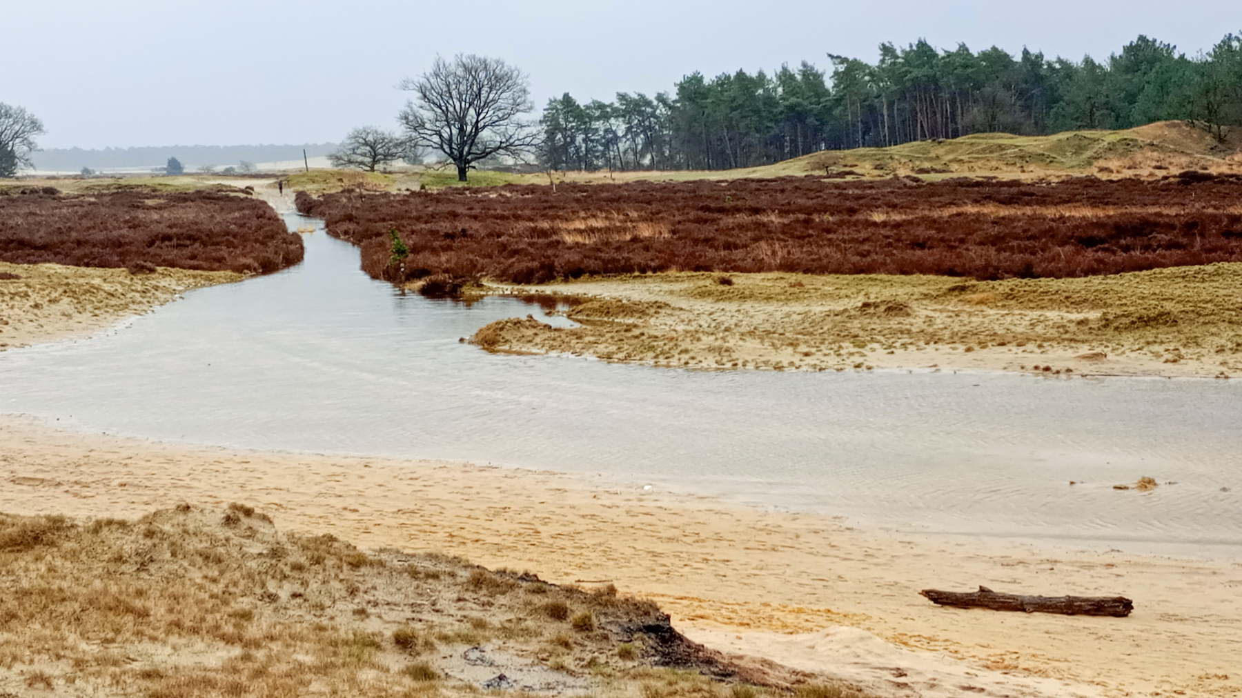 Water in de duinen
