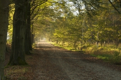 Herfst bij de Pessert Herfst bij de Pessert