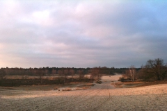 Ochtend in de Duinen Ochtend in de Duinen