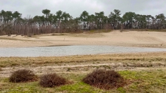 Water in de duinen