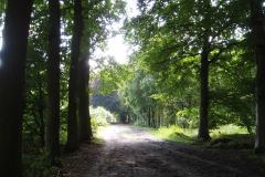 Laantje op de Pessert