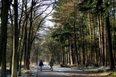 Fietspad bij Steegerf