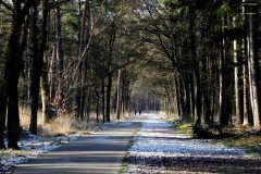 Fietspad bij Steegerf
