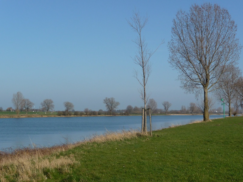 Vroeg voorjaar aan de Maas