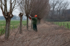 Natuurwerkgroep bij Harten Aas Natuurwerkgroep bij Harten Aas