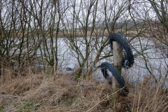 Natuurwerkgroep bij Harten Aas Natuurwerkgroep bij Harten Aas