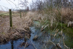 Natuurwerkgroep bij Harten Aas Natuurwerkgroep bij Harten Aas