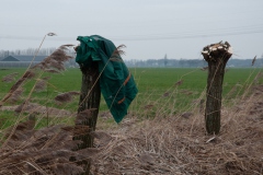 Natuurwerkgroep bij Harten Aas Natuurwerkgroep bij Harten Aas