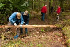 Natuurwerk in de Ottershoek Natuurwerk in de Ottershoek