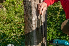 Natuurwerk in de Ottershoek Natuurwerk in de Ottershoek