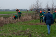 Natuurwerkgroep wilgen knotten aan de Hooibroeksesteeg Natuurwerkgroep wilgen knotten aan de Hooibroeksesteeg