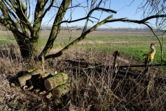 Natuurwerkgroep bij Ommetje Elshout Natuurwerkgroep bij Ommetje Elshout