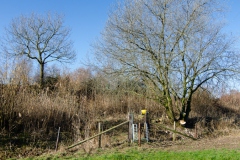 Natuurwerkgroep bij Ommetje Elshout Natuurwerkgroep bij Ommetje Elshout