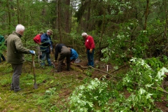 Natuurwerk in de Ottershoek Natuurwerk in de Ottershoek