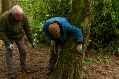 Natuurwerk in de Ottershoek Natuurwerk in de Ottershoek