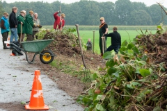Verwijderen Japanse Duizendknoop van de Heidijk Verwijderen Japanse Duizendknoop van de Heidijk