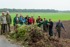 Verwijderen Japanse Duizendknoop van de Heidijk Verwijderen Japanse Duizendknoop van de Heidijk