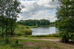 Onderhoud aan de zichtlijnen van de Nieuwkuijkse Wiel Onderhoud aan de zichtlijnen van de Nieuwkuijkse Wiel