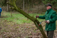 Natuurbeheer in de Baardwijkse Overlaat Natuurbeheer in de Baardwijkse Overlaat