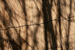 Onderhoud Eendenkooi Ter Kwak 2019 Onderhoud Eendenkooi Ter Kwak 2019