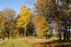 Onderhoud aan de Kanaaldijk nov 2019 Onderhoud aan de Kanaaldijk nov 2019